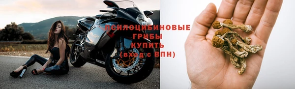 прущий лед Алзамай