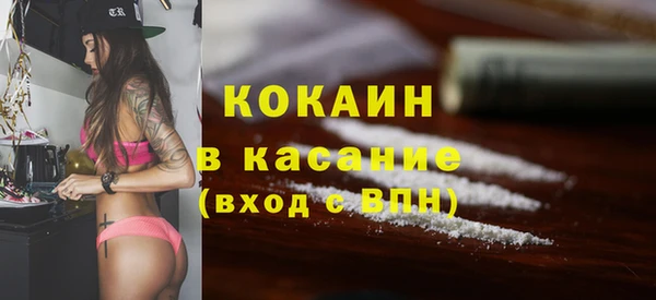 крисы Алексин